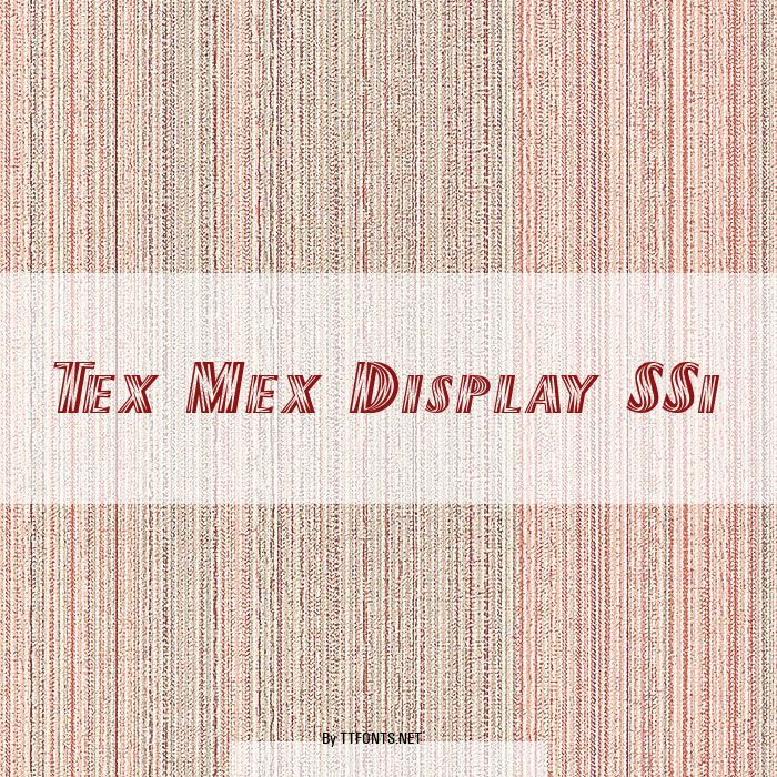 Tex Mex Display SSi example